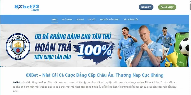 Cung cấp chính xác mà 8XBet yêu cầu